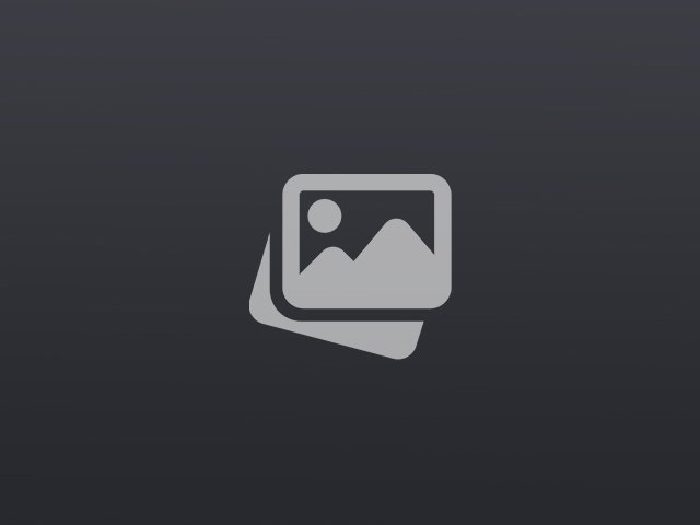 blackcat.para-nexus.com